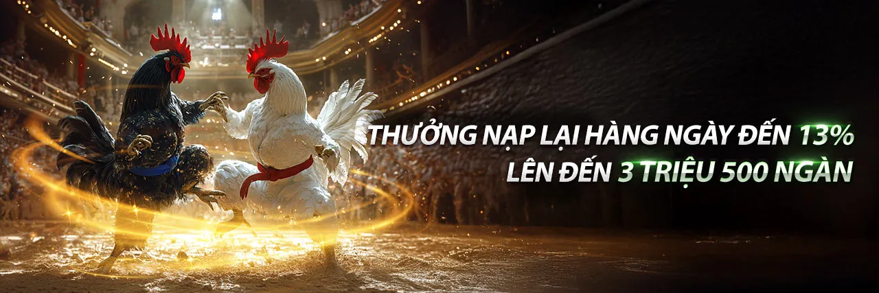 Sân đấu chọi gà kịch tính tại Ga179 Link Mới